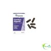 VITAVEA CONFORT DIGESTIF 45 GELULES