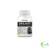 BIOHERBS SHILAJIT 60 GELULES