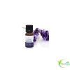 ALMAFLORE HUILE ESSENTIELLE DE LAVANDIN SUPER 10ML