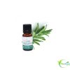 ALMAFLORE HUILE ESSENTIELLE DE ROMARIN A CINEOLE 10ML