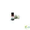 ALMAFLORE HUILE ESSENTIELLE ARBRE À THE 10ML